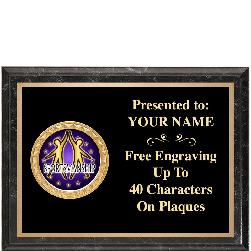 8X6 BLACK EXECUTIVE INSERT PLQ