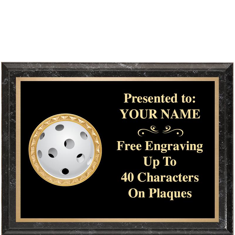 8X6 BLACK EXECUTIVE INSERT PLQ