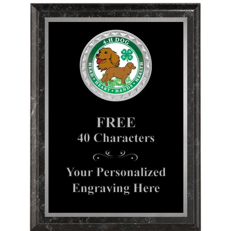 6X8 BLACK EXECUTIVE INS PLQ SV