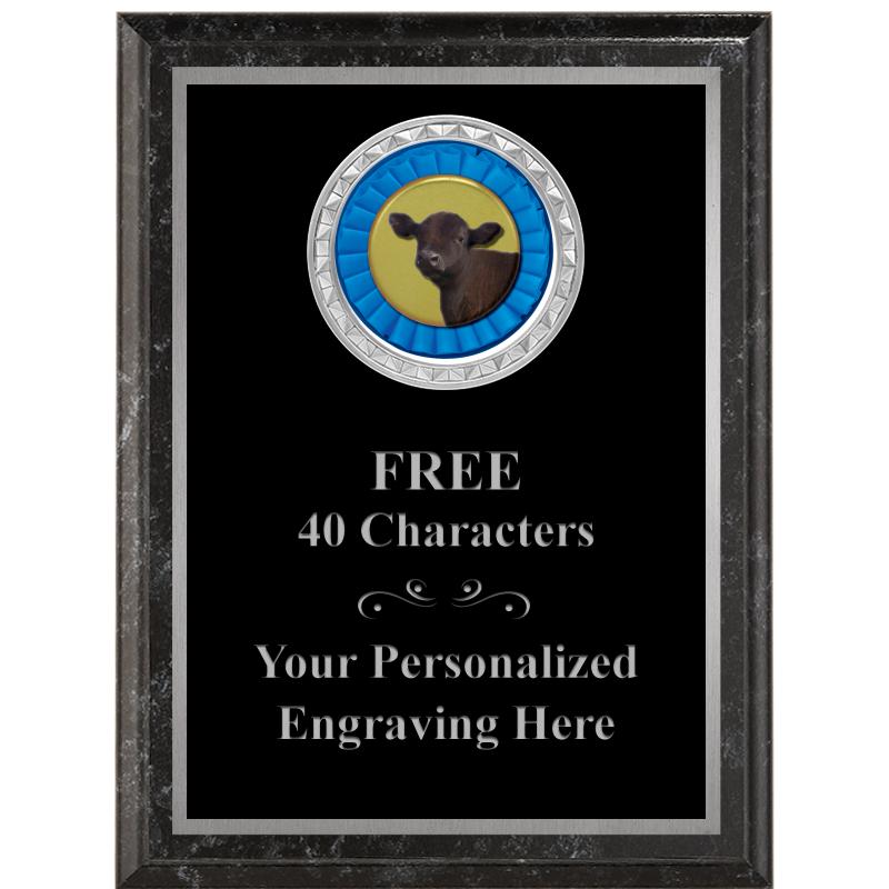 6X8 BLACK EXECUTIVE INS PLQ SV