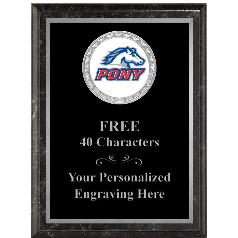 6X8 BLACK EXECUTIVE INS PLQ SV