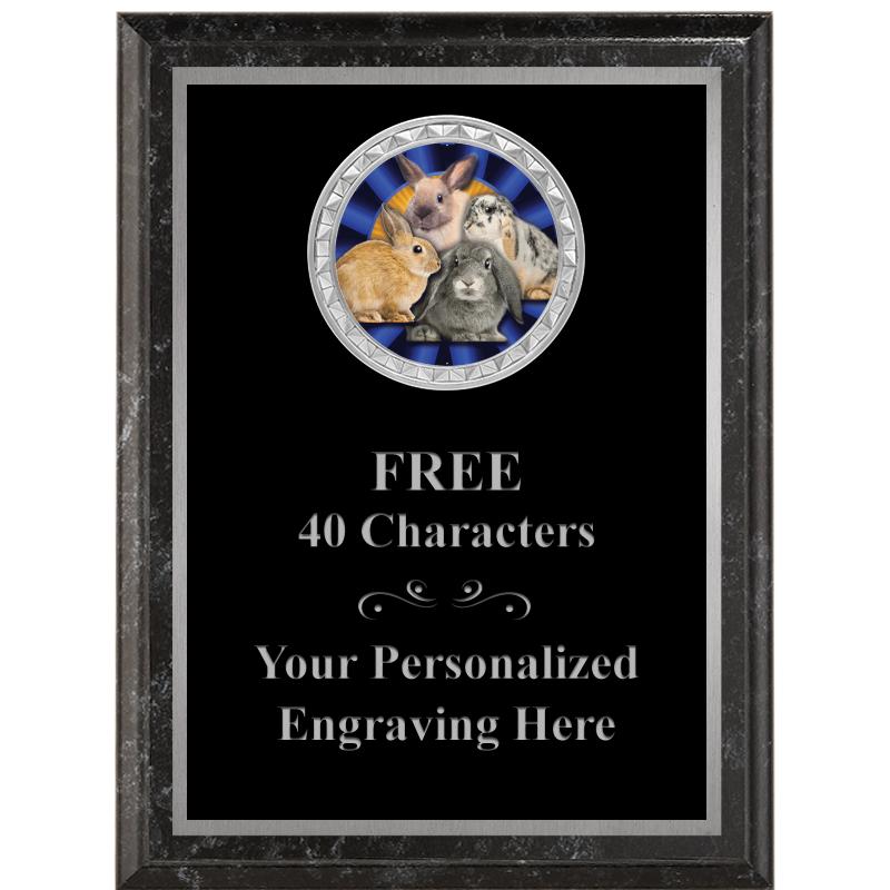 6X8 BLACK EXECUTIVE INS PLQ SV