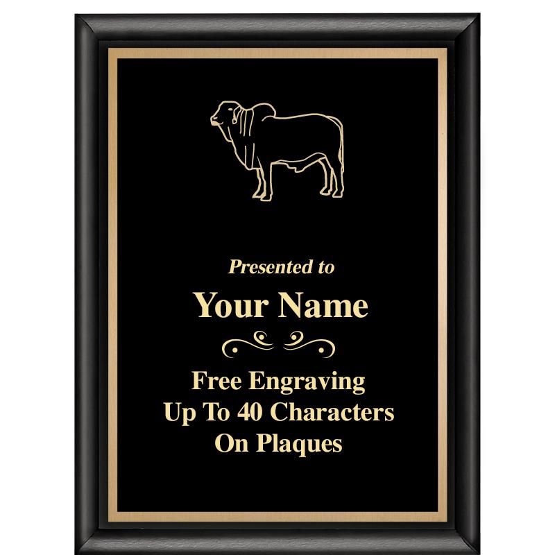 6X8 CLASSIC BLACK SHINY PLAQUE
