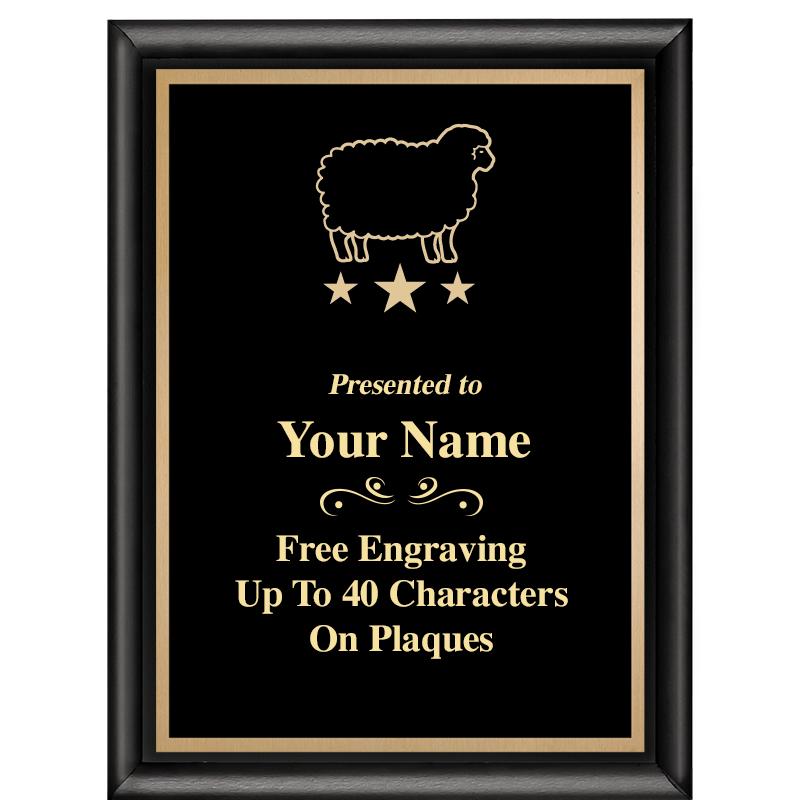 6X8 CLASSIC BLACK SHINY PLAQUE