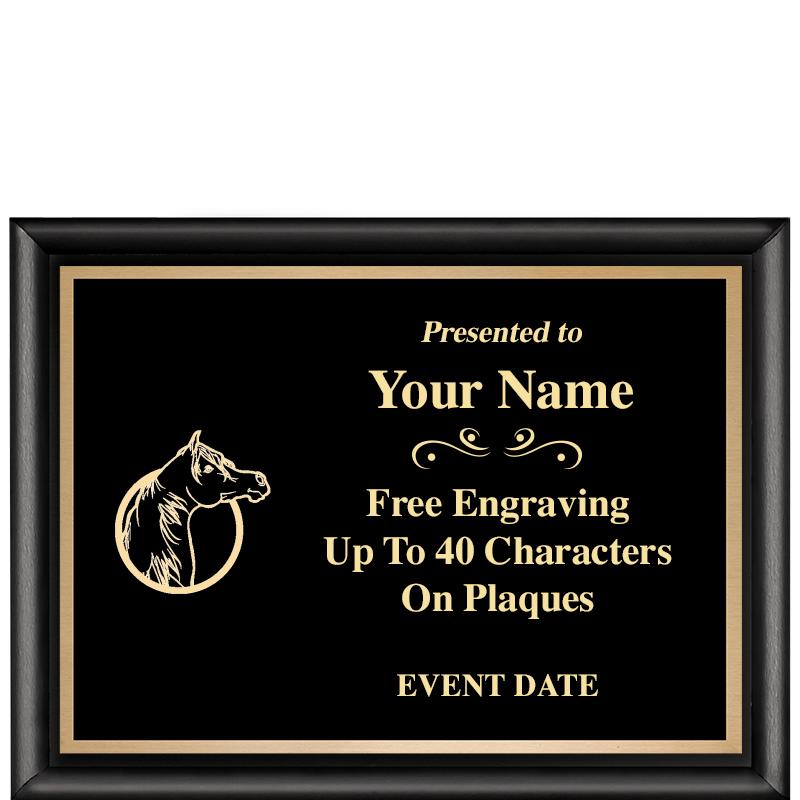 8X6 CLASSIC BLACK SHINY PLAQUE