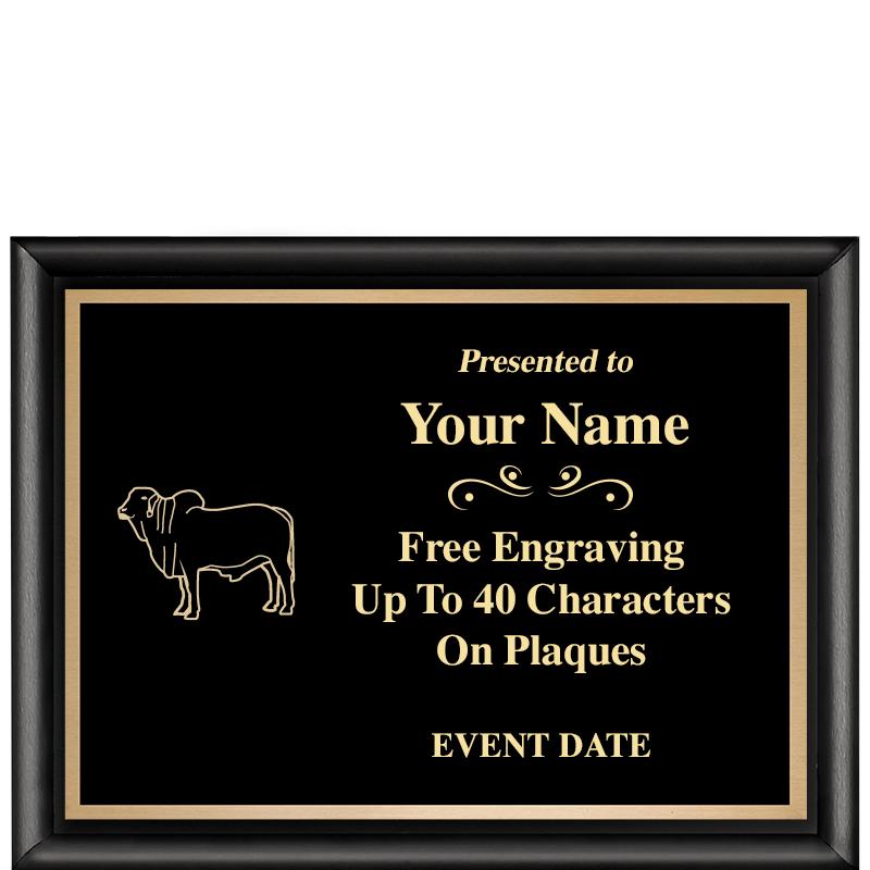 8X6 CLASSIC BLACK SHINY PLAQUE