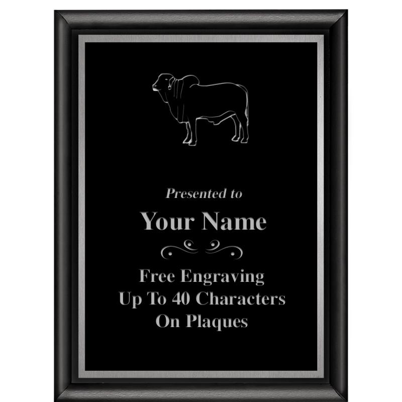 6"X8" CLASSIC BLK SHINY PLQ SV