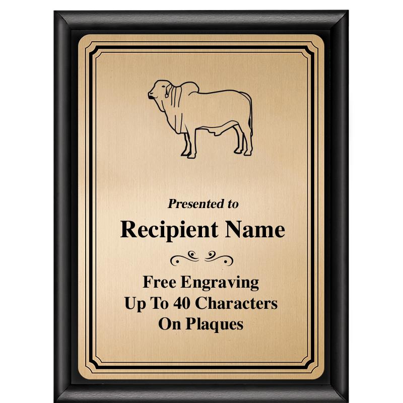 6X8 GOLD TRIO PLT BLK SHNY PLQ