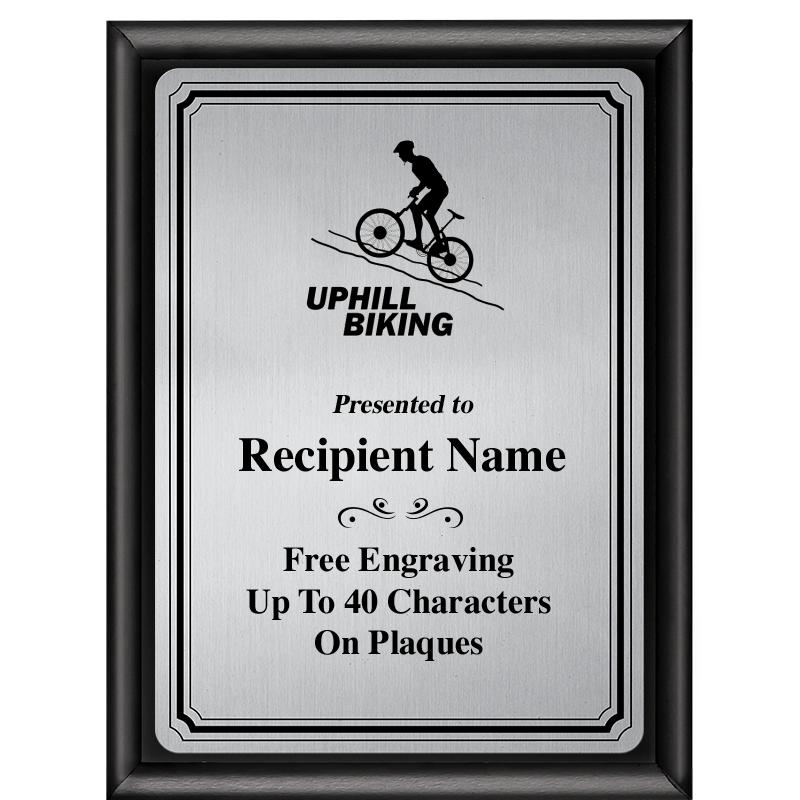 6X8 SLVR TRIO PLT BLK SHNY PLQ