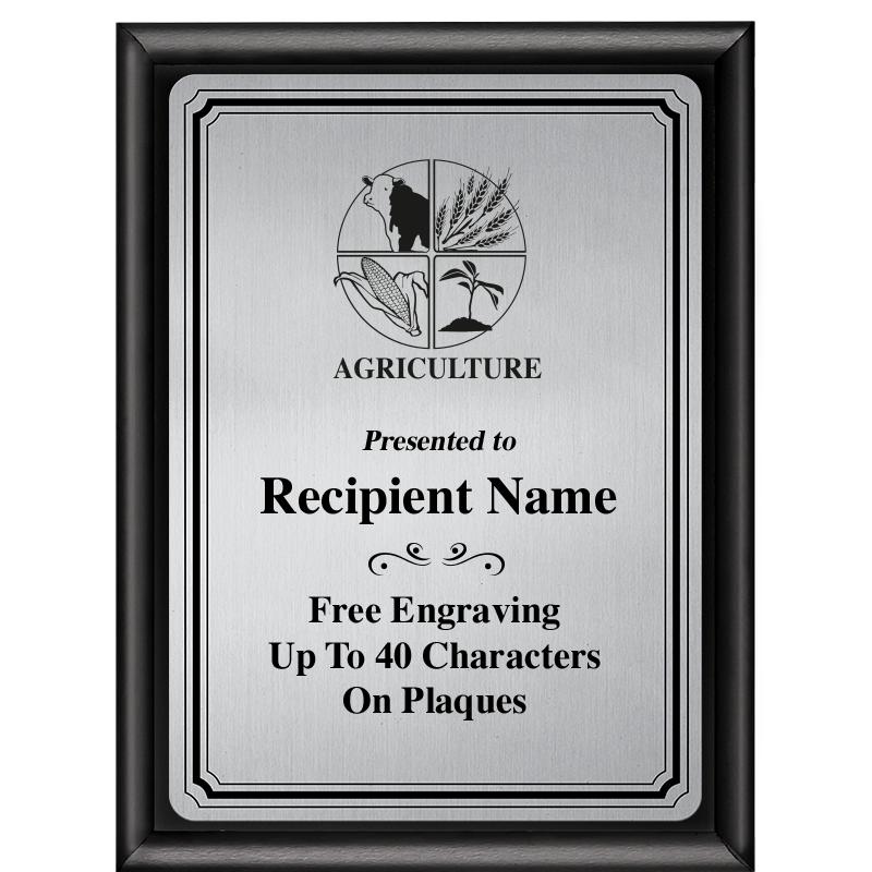 6X8 SLVR TRIO PLT BLK SHNY PLQ