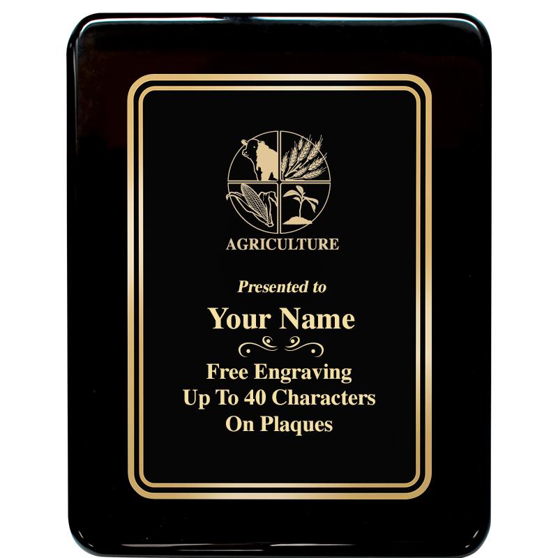 7x9 BLK MTL PLT CHATOYNT EBNY