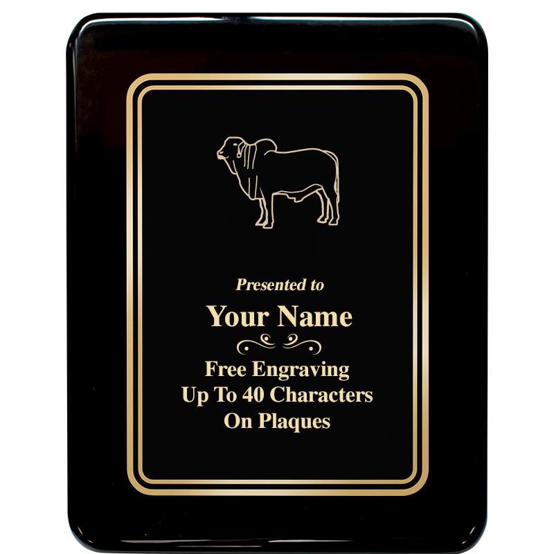 7x9 BLK MTL PLT CHATOYNT EBNY