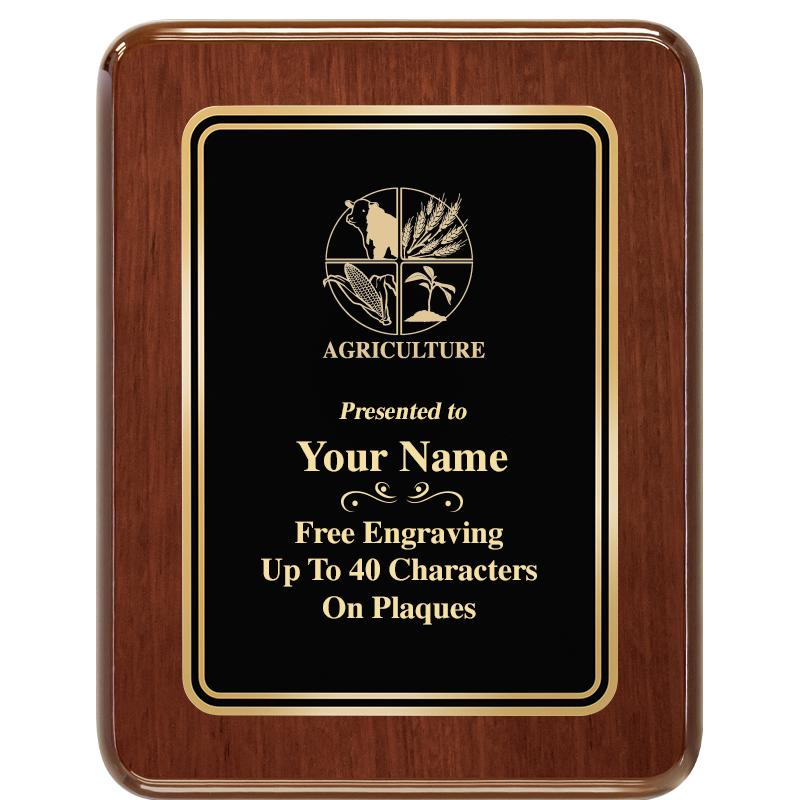 7X9 BLK MTL PLT CHATOYANT WLNT