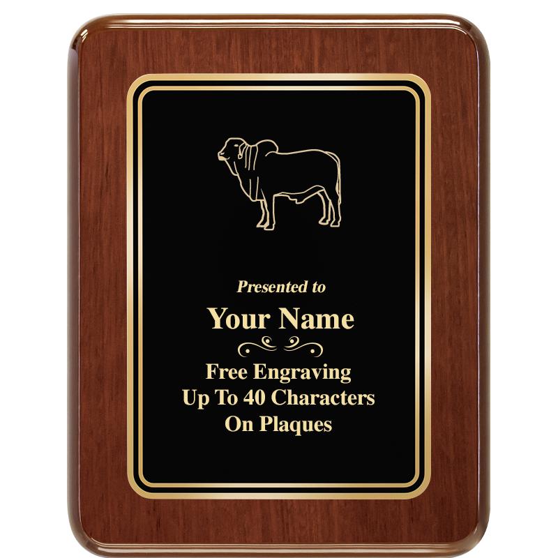 7X9 BLK MTL PLT CHATOYANT WLNT