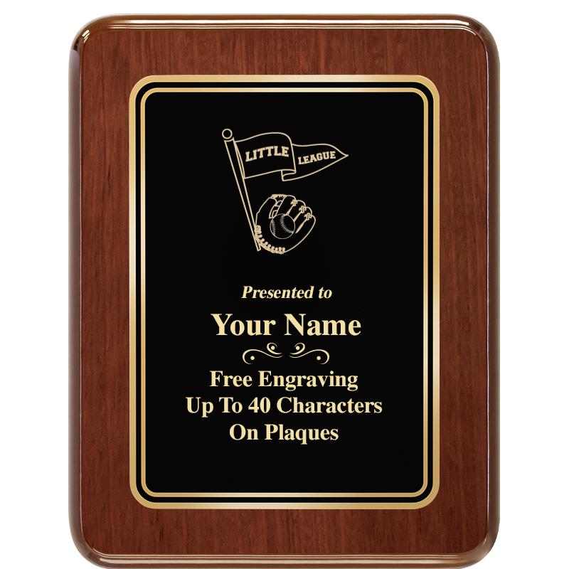 7X9 BLK MTL PLT CHATOYANT WLNT