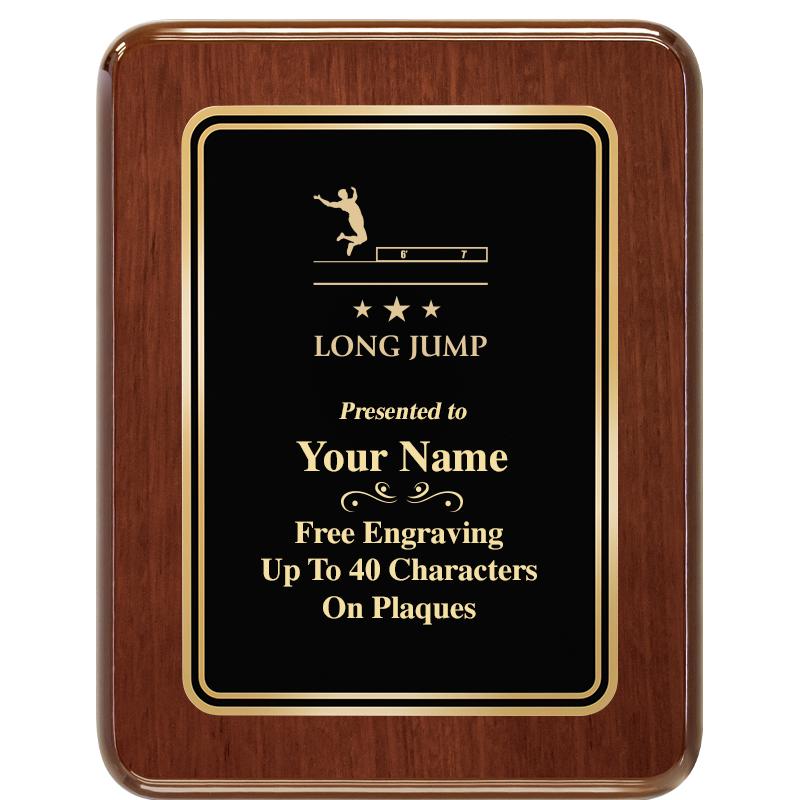 7X9 BLK MTL PLT CHATOYANT WLNT