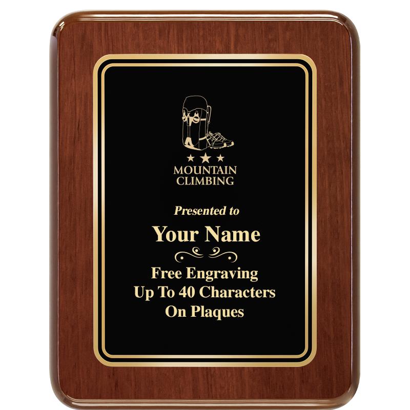 7X9 BLK MTL PLT CHATOYANT WLNT