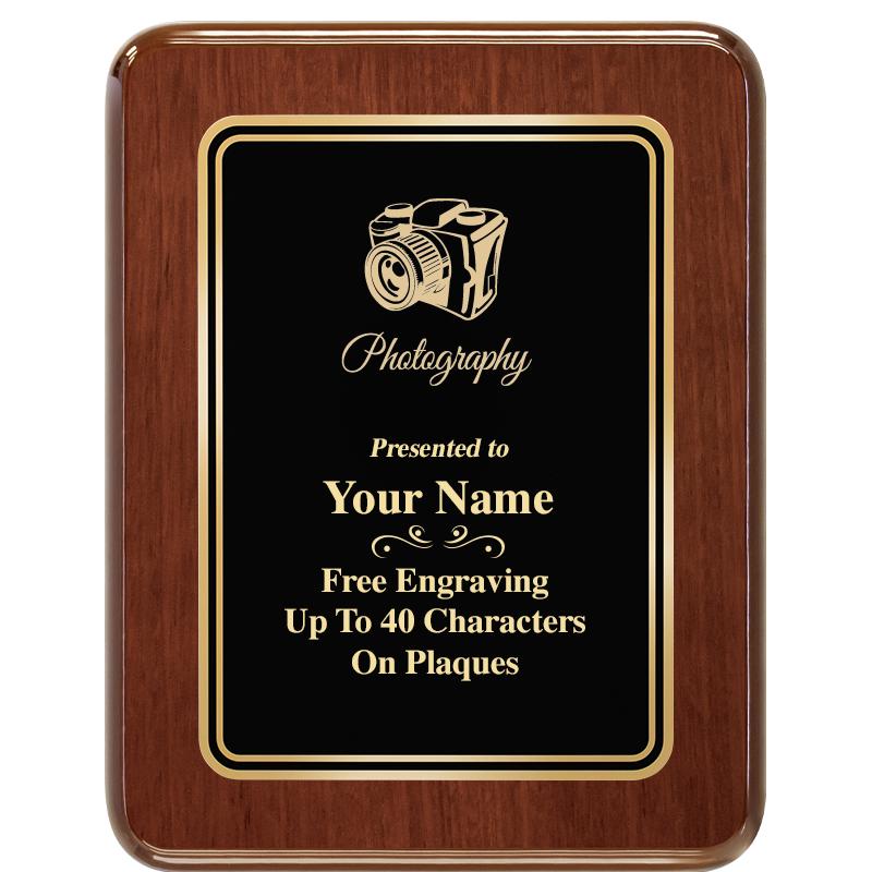 7X9 BLK MTL PLT CHATOYANT WLNT