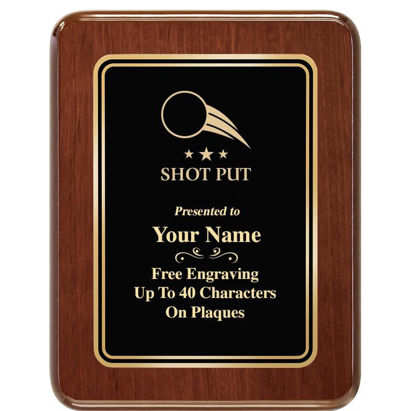 7X9 BLK MTL PLT CHATOYANT WLNT