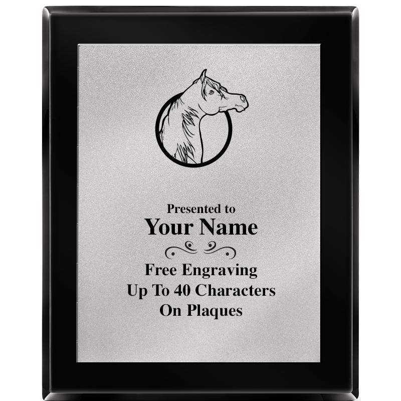 8X10 EB PIANO PLQ MATTE SV PLT