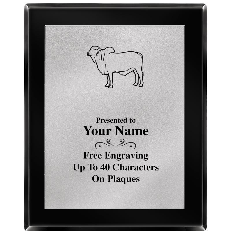 8X10 EB PIANO PLQ MATTE SV PLT