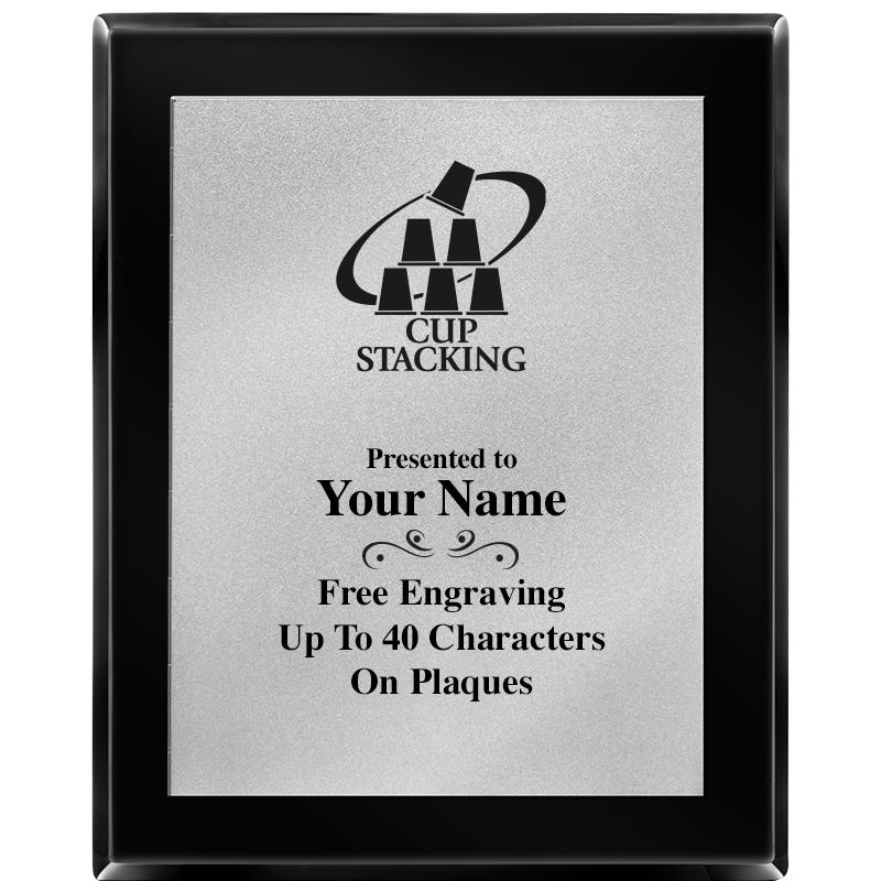 8X10 EB PIANO PLQ MATTE SV PLT