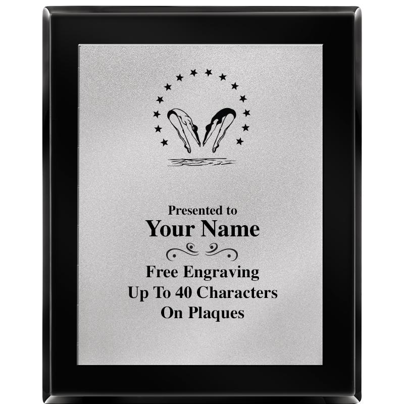 8X10 EB PIANO PLQ MATTE SV PLT