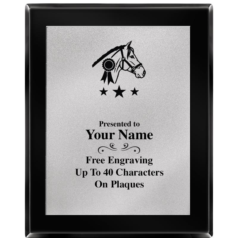 8X10 EB PIANO PLQ MATTE SV PLT