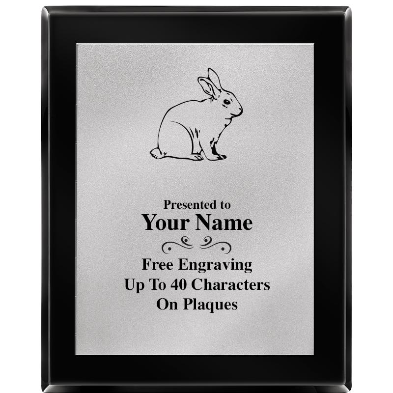 8X10 EB PIANO PLQ MATTE SV PLT