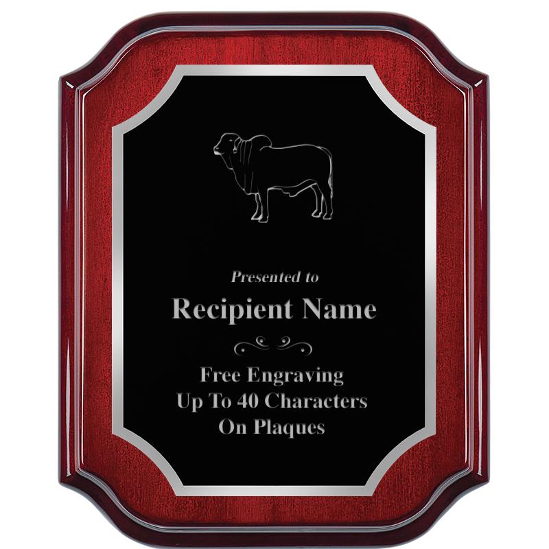 8X10 MAHOGANY LIFETIME SLV PLQ