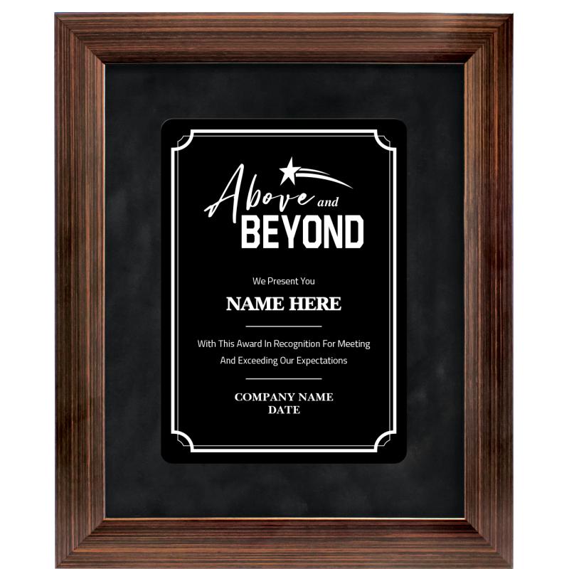 9X11 ABV & BYND PRDGM FR PL BZ