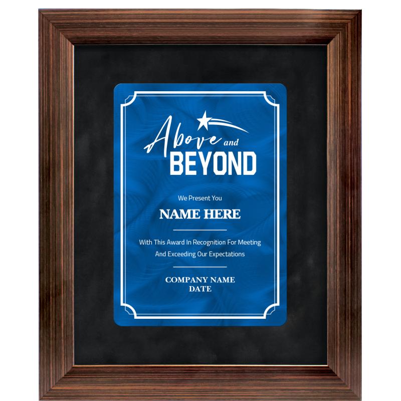 9X11 ABV & BYND PRDGM FR PL BZ