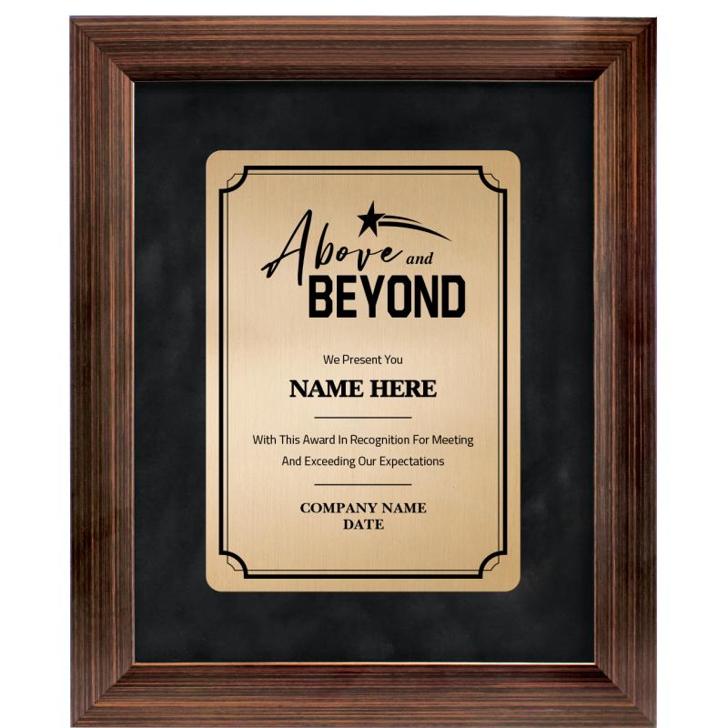 9X11 ABV & BYND PRDGM FR PL BZ