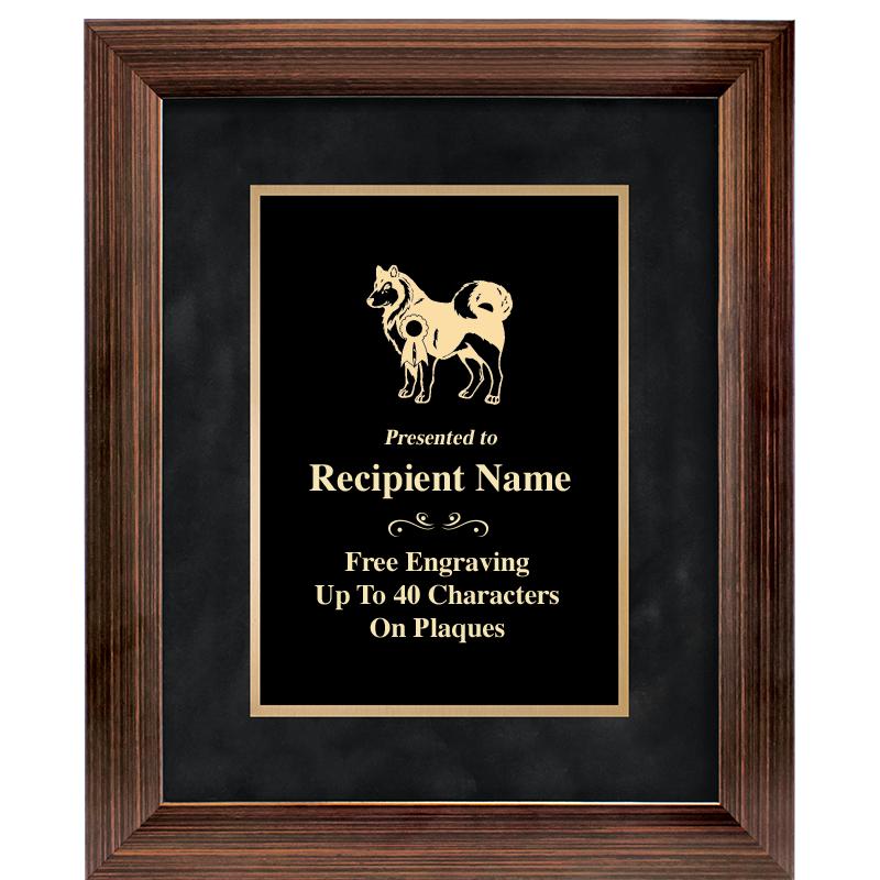 9x11 PARADIGM FRM PLQ BLK-BZ