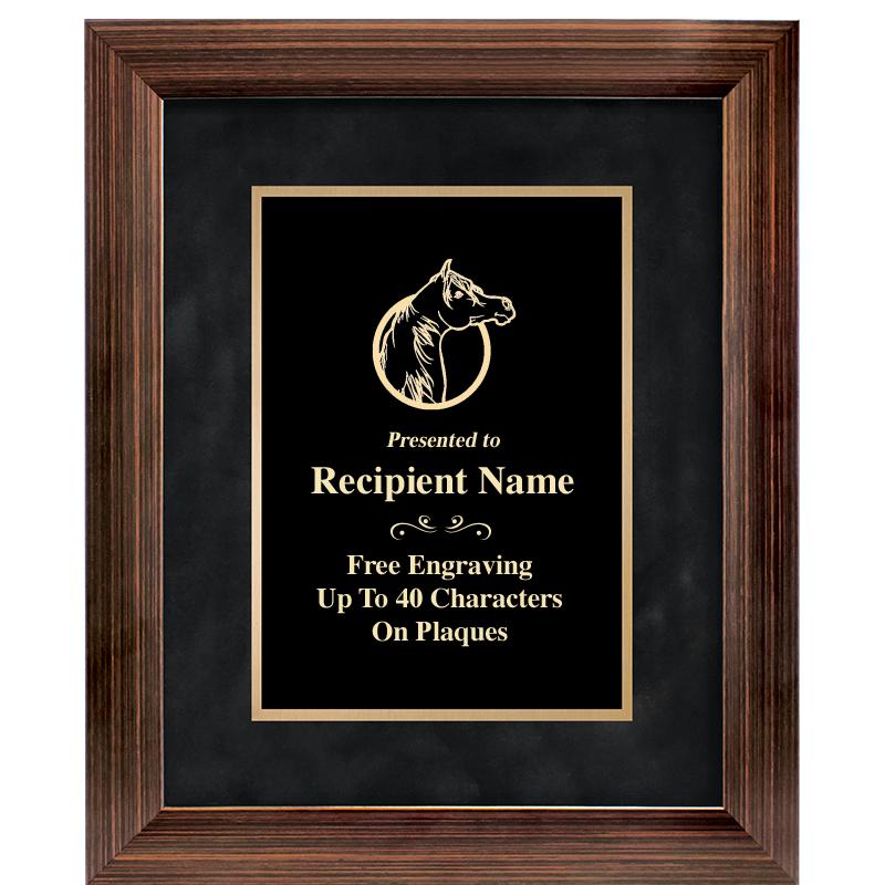 9x11 PARADIGM FRM PLQ BLK-BZ