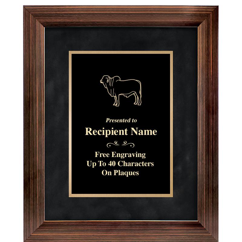 9x11 PARADIGM FRM PLQ BLK-BZ