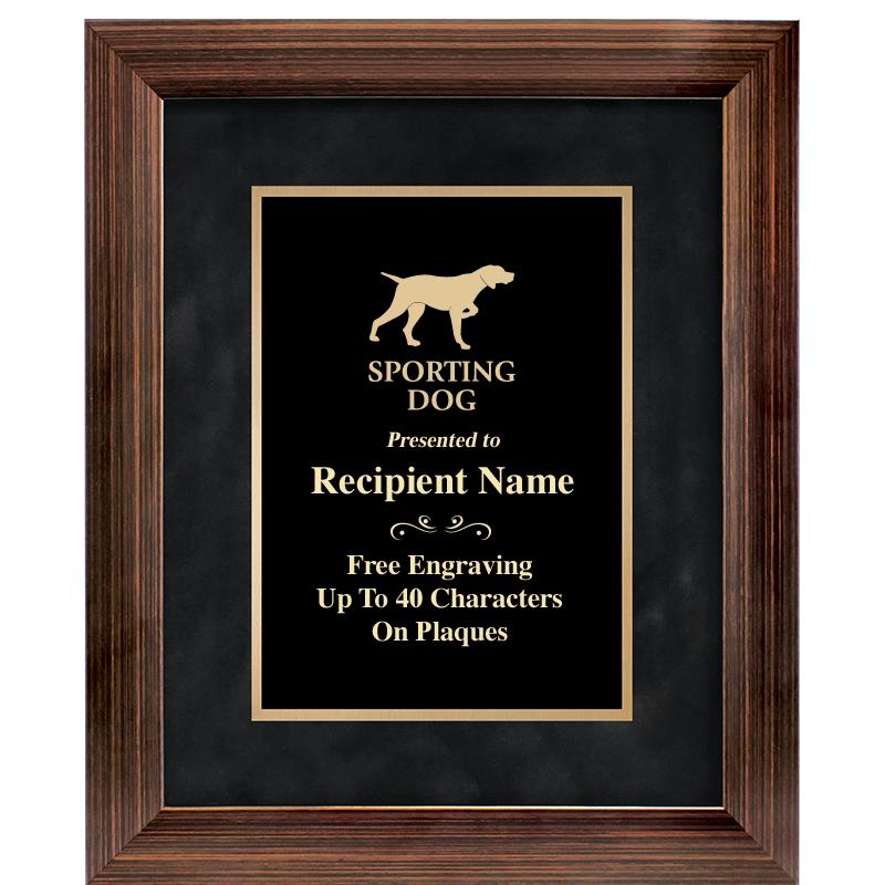 9x11 PARADIGM FRM PLQ BLK-BZ