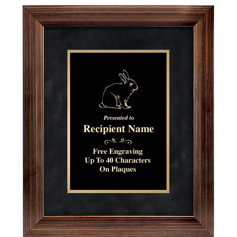 9x11 PARADIGM FRM PLQ BLK-BZ