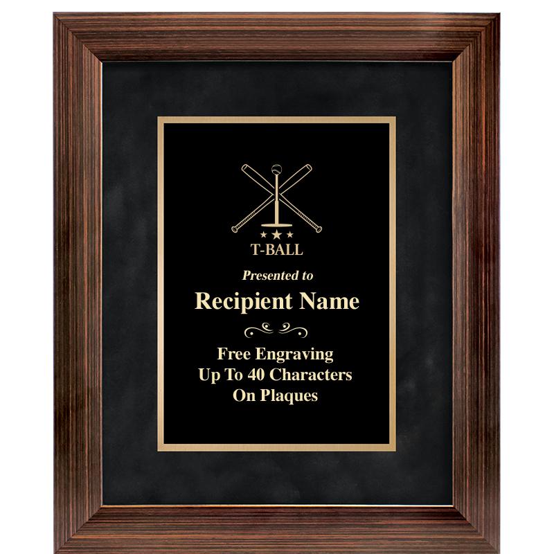 9x11 PARADIGM FRM PLQ BLK-BZ