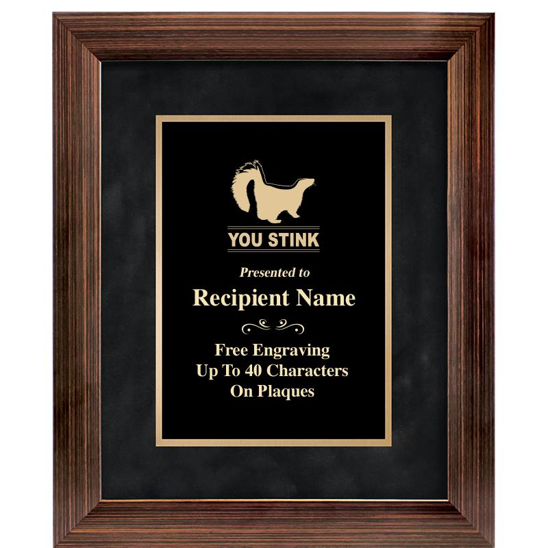 9x11 PARADIGM FRM PLQ BLK-BZ