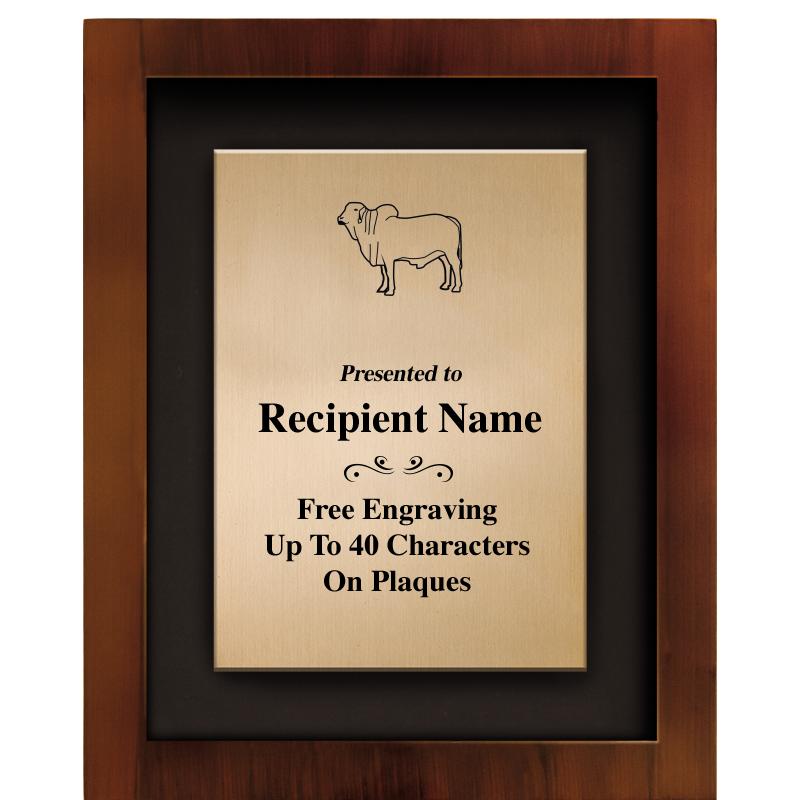 8.5"x10.5"COLOR PRNTD SHDW PLQ