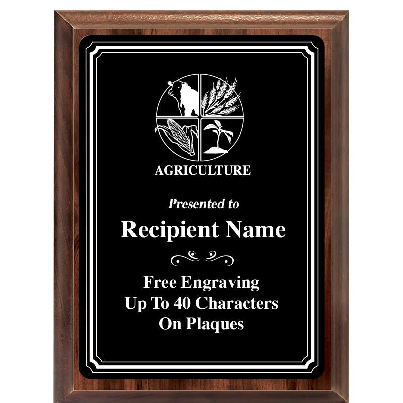 6x8 TRIO BORDER BLACK PLT PLQ