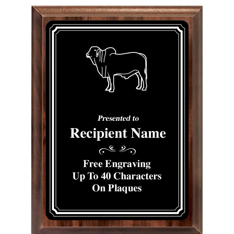 6x8 TRIO BORDER BLACK PLT PLQ