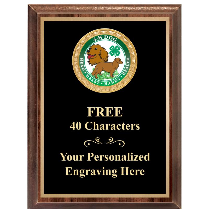 6X8 WOOD EXECUTIVE INSERT PLAQ