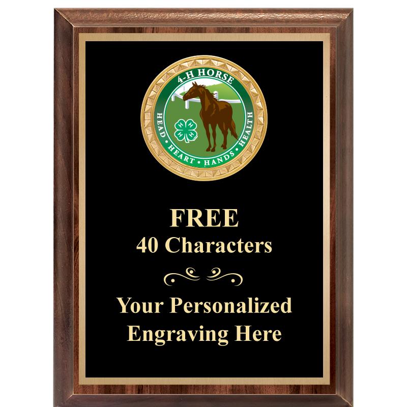 6X8 WOOD EXECUTIVE INSERT PLAQ