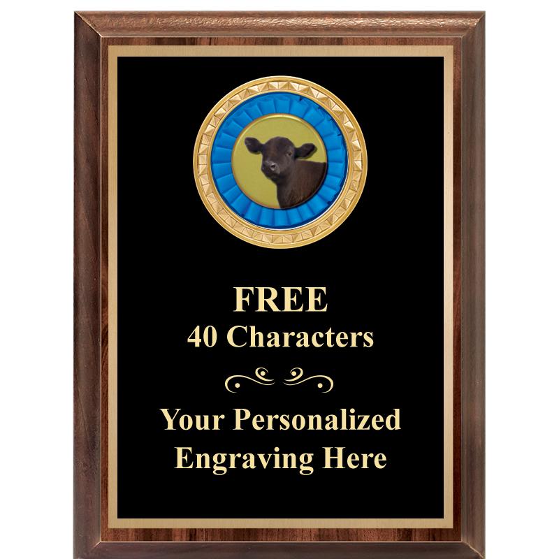 6X8 WOOD EXECUTIVE INSERT PLAQ