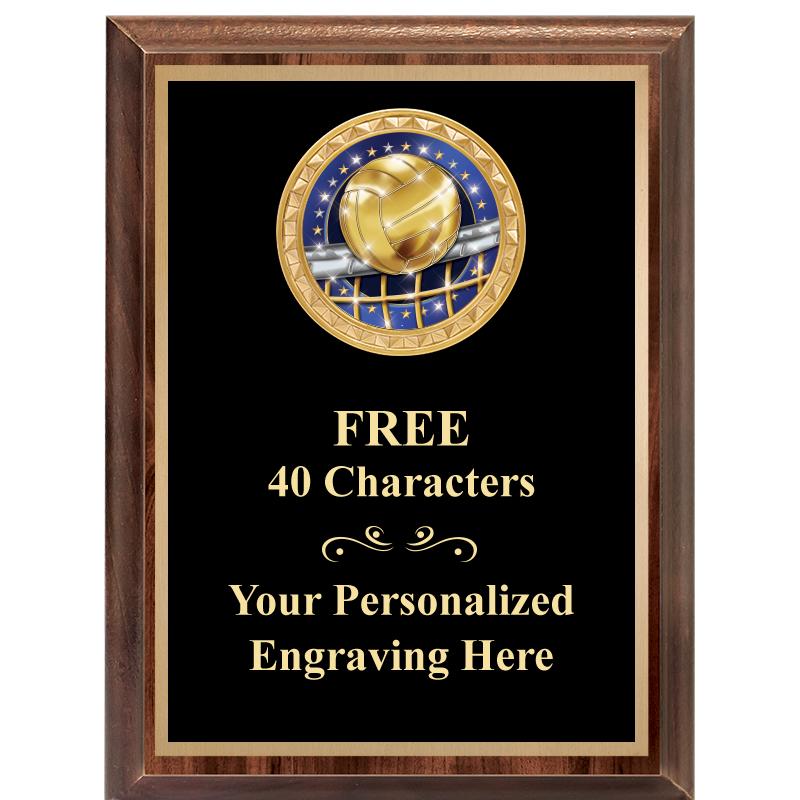 6X8 WOOD EXECUTIVE INSERT PLAQ