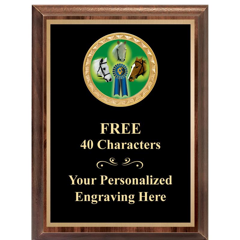 6X8 WOOD EXECUTIVE INSERT PLAQ