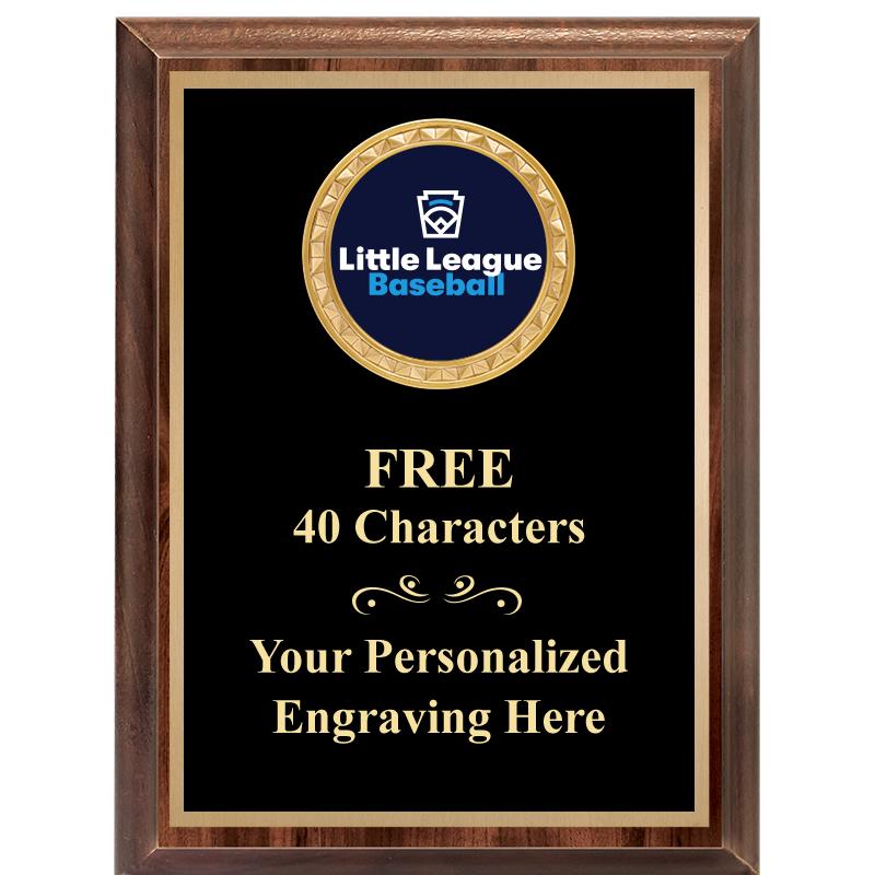 6X8 WOOD EXECUTIVE INSERT PLAQ