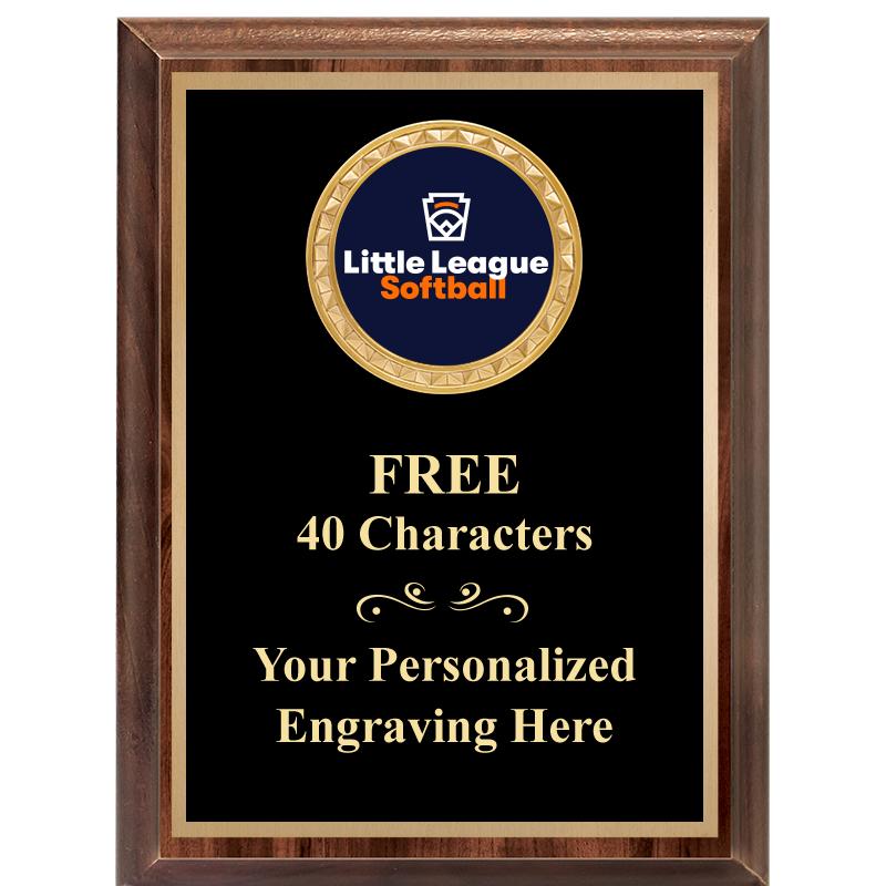 6X8 WOOD EXECUTIVE INSERT PLAQ